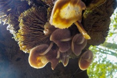 13-09-3e_resize