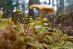 Actief-Putten-KidzKlix-05