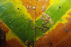 Actief-Putten-KidzKlix-09