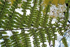 Finalisten-Berg-Bosch-school-09