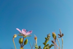 Vakjury-finalisten-03