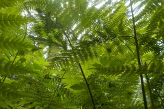 Vakjury-finalisten-05