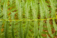 Vakjury-finalisten-06