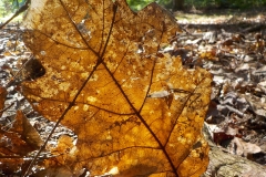 Vakjury-finalisten-07