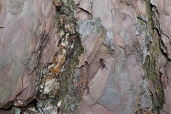 Vakjury-finalisten-11