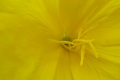 Vakjury-finalisten-12