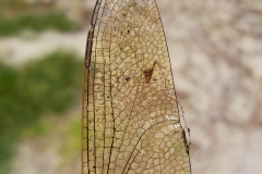 Vakjury-finalisten-13