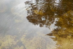 Vakjury-finalisten-14