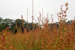 Vakjury-finalisten-15