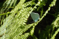 Vakjury-finalisten-16