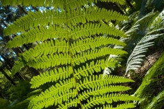 Vakjury-finalisten-17