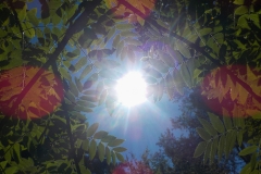 Vakjury-finalisten-19