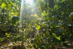 Vakjury-finalisten-20