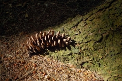 Vakjury-finalisten-21