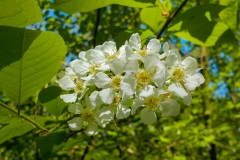 10-06