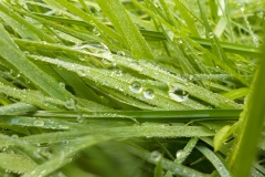 1010-1e-plaats-Selfie-37