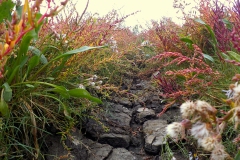 12-02-2e-resize-23-sept