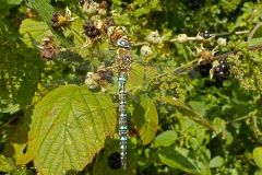 12-13-3e-resize-17-sept