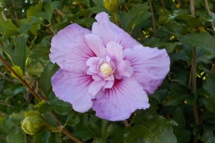 14-03-3e-resize-21-sept