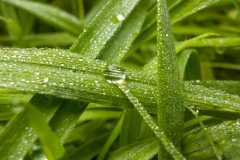 14-05-3e-resize-14-sept