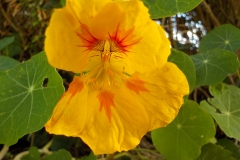 16-12-3e-resize-24-sept