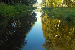 18-08-2e-resize-21-sept