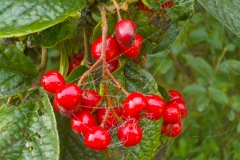 18-14-1e-resize-22-sept