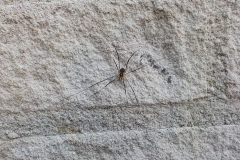 19-01-2e-resize-24-sept