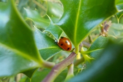 19-07-1e-resize-18-sept