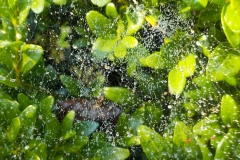 20-Tweede-plaats-CBS-De-Bron-070920