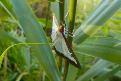 21-02-2e-resize-17-sept