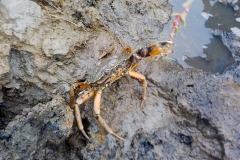 21-03-1e-resize-23-sept