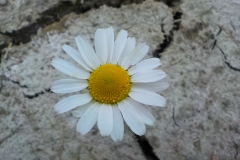 22-13-3e-resize-23-sept