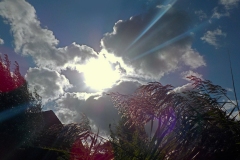 22-19-1e-resize-24-sept