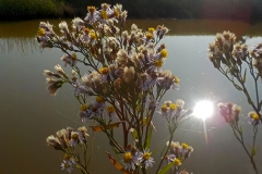 30-02-2e-resize-15-sept