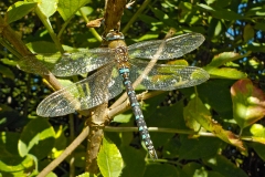 32-011-3e-resize-18-sept