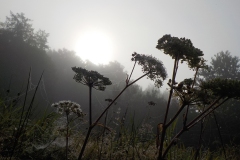 33-06-2e-resize-22-sept