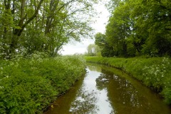 De-Tweern-KidzKlix-Goes-08