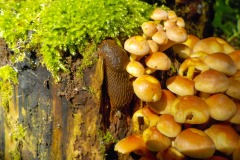 De-Tweern-KidzKlix-Goes-09