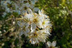 De-Twijne-KidzKlix-01