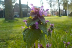 De-Twijne-KidzKlix-03