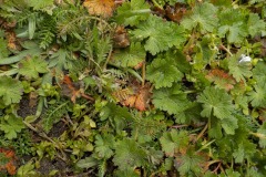 De-Twijne-KidzKlix-04