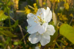 De-Twijne-KidzKlix-05