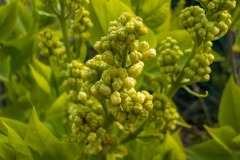 De-Twijne-KidzKlix-06