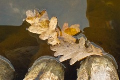 De-Twijne-KidzKlix-07