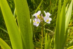 De-Twijne-KidzKlix-08