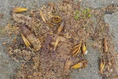 De-Twijne-KidzKlix-09