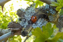 De-Twijne-KidzKlix-10