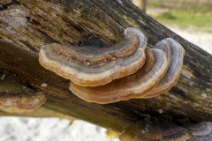 De-Twijne-KidzKlix-11