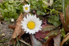 De-Twijne-KidzKlix-12